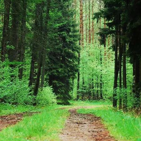 Karczma Jak Malowanie * Kalisz Pomorski