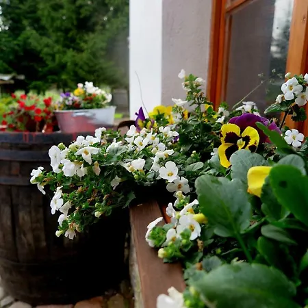 Karczma Jak Malowanie Farm stay *