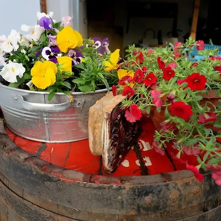 Farm stay Karczma Jak Malowanie Kalisz Pomorski